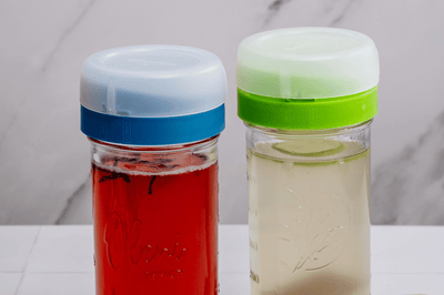 Wasserkefir selbst machen | Leitfaden und Wissenswertes