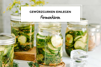 Gewürzgurken im Glas fermentieren