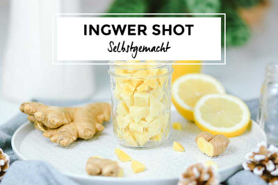 Ingwer Shot