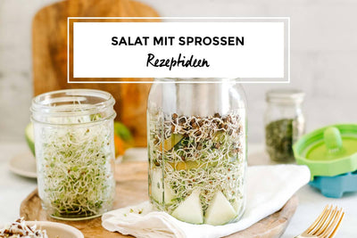 Rezept: Sprossensalat im Glas