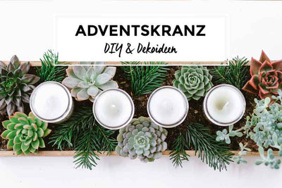 Sukkulenten Adventskranz