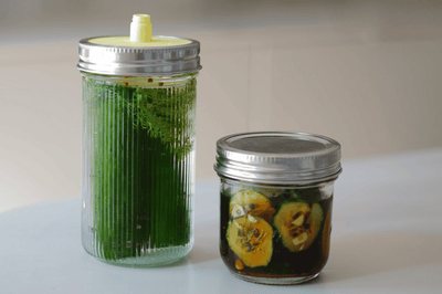 Gurken fermentieren oder einlegen? Ein Guide für Einsteiger:innen inklusive Rezepten