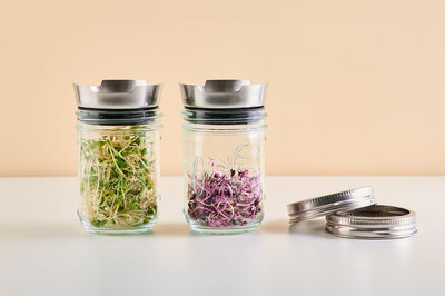 Sprossen ziehen leicht gemacht: Dein Guide für frische Superfoods