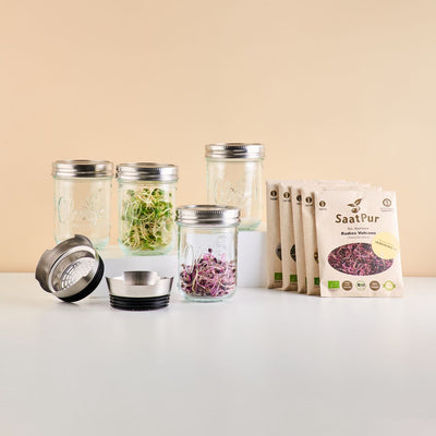 Lieblingsglas Sprossen Starter Set