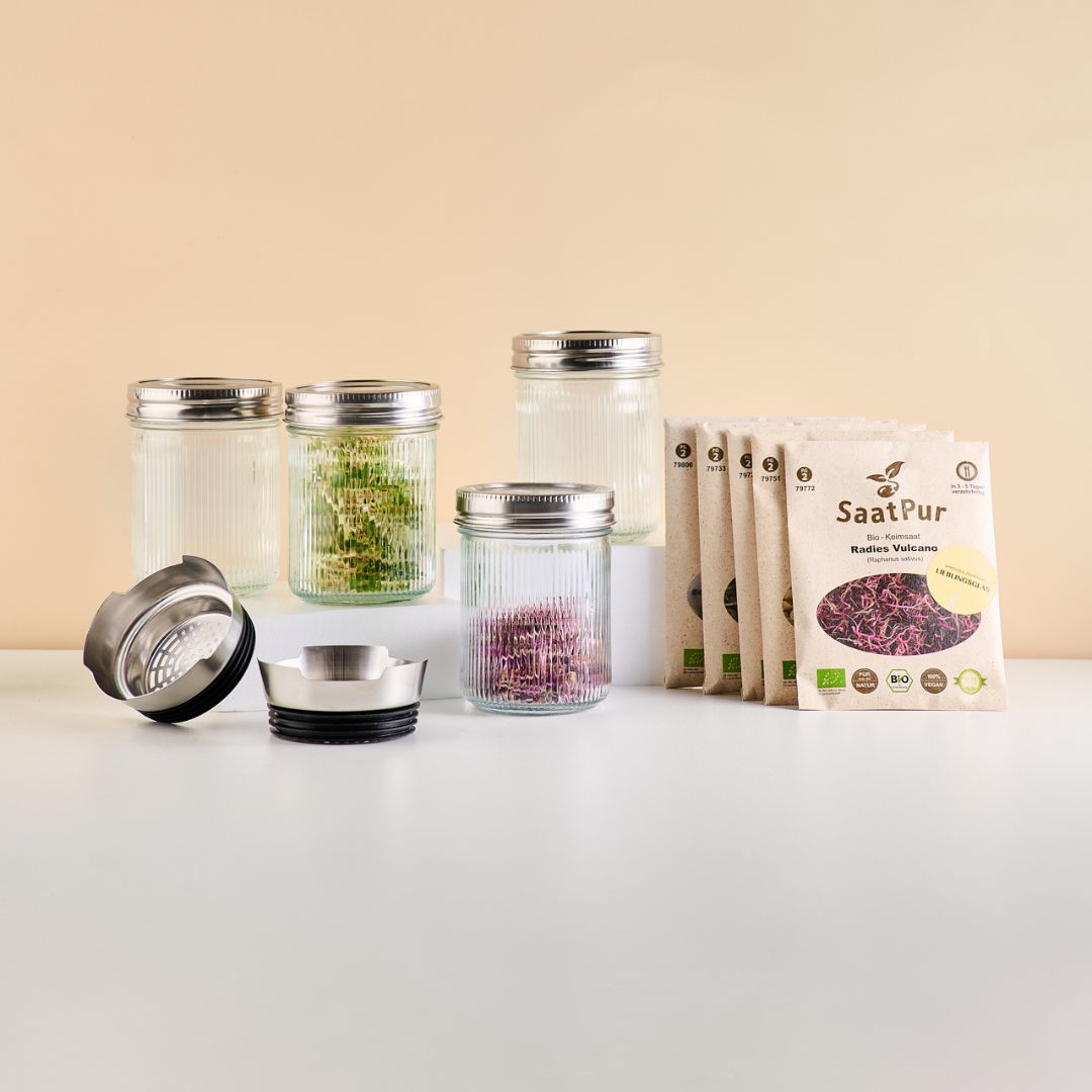 Lieblingsglas Sprossen Starter Set
