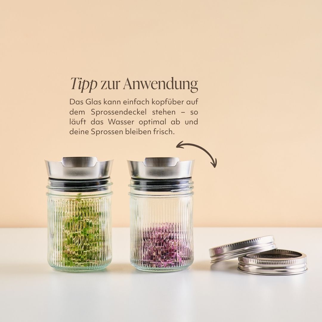 Lieblingsglas Sprossendeckel Edelstahl