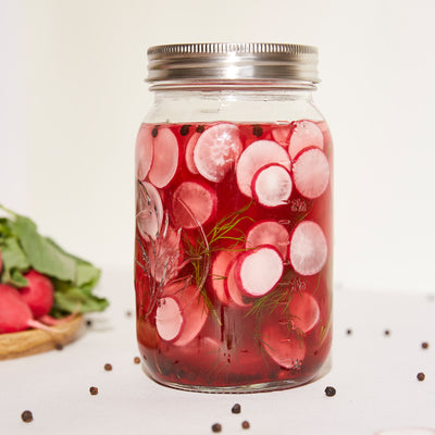 Fermentieren Starter Set Radieschen