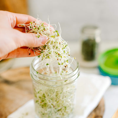 Keimdeckel | Mason Jar